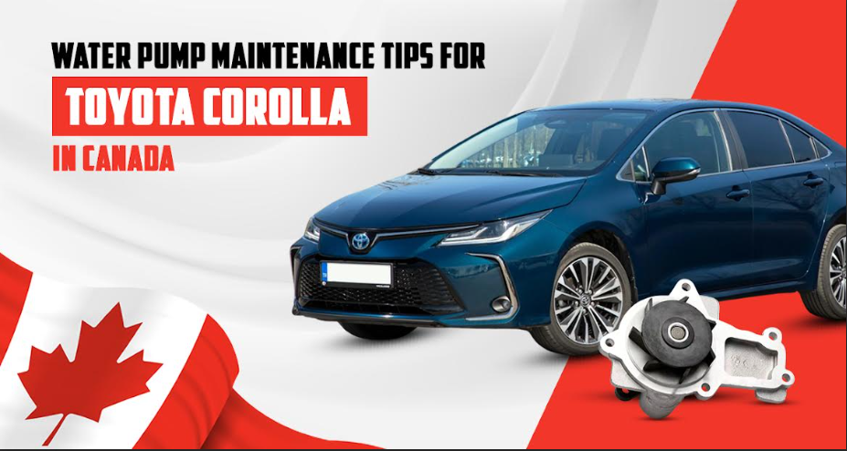Toyota Corolla Maintenance Tips